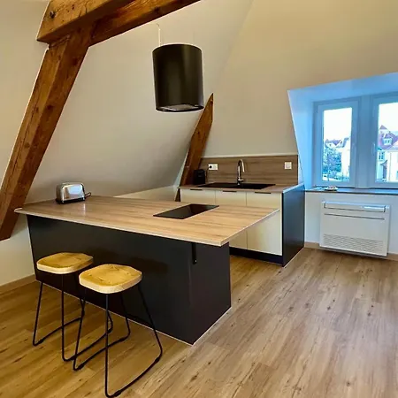 Appartement Moderne Et Spacieux, A 10 Min De La Gare Colmar Exterior photo