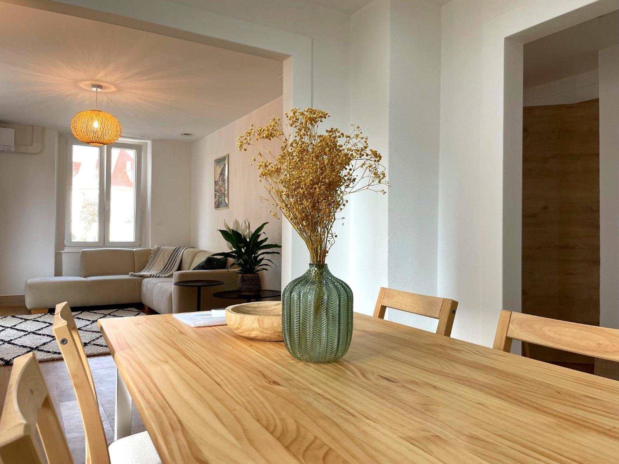 Apartment Moderne Et Spacieux, A 10 Min De La Gare Colmar